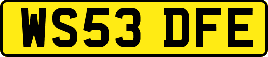 WS53DFE