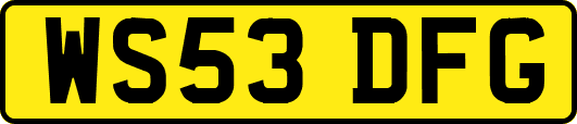 WS53DFG