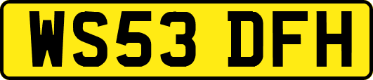 WS53DFH