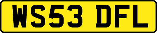 WS53DFL