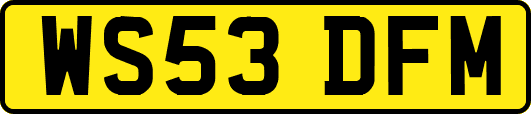 WS53DFM