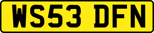 WS53DFN