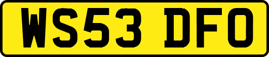 WS53DFO