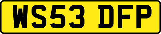 WS53DFP