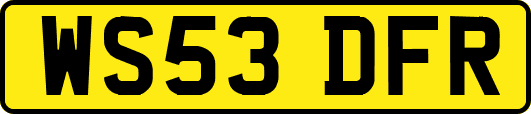 WS53DFR