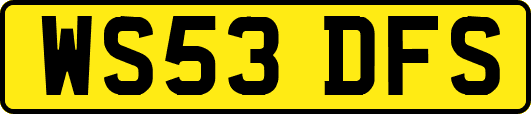 WS53DFS