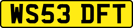 WS53DFT