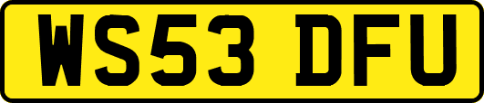 WS53DFU