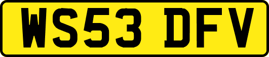 WS53DFV