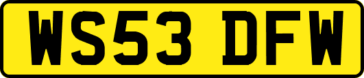 WS53DFW