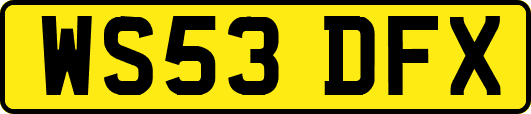WS53DFX