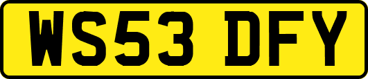 WS53DFY