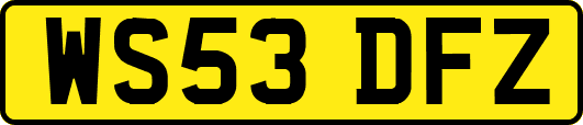 WS53DFZ