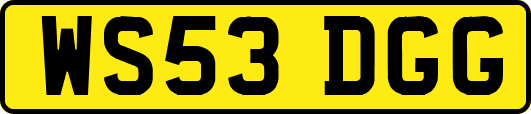 WS53DGG