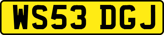 WS53DGJ