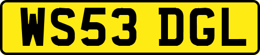 WS53DGL