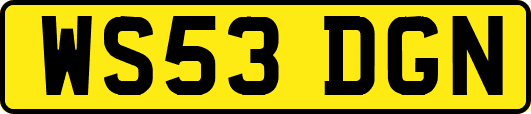 WS53DGN