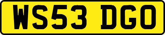WS53DGO