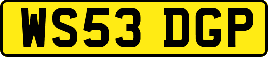 WS53DGP