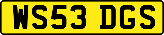 WS53DGS
