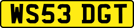 WS53DGT