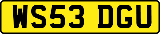 WS53DGU