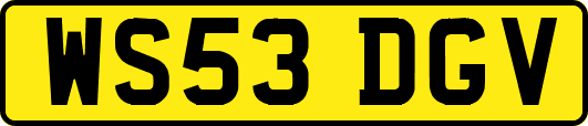 WS53DGV