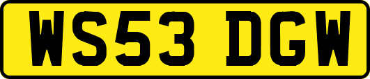 WS53DGW