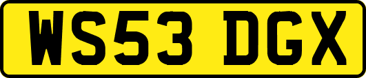 WS53DGX