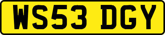 WS53DGY