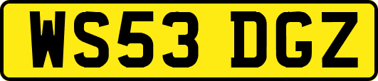 WS53DGZ