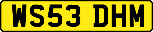 WS53DHM