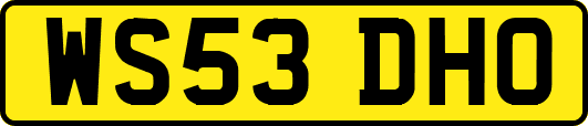 WS53DHO