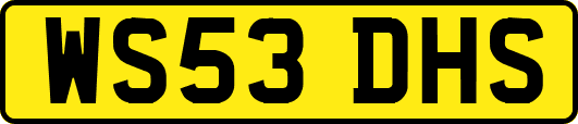 WS53DHS