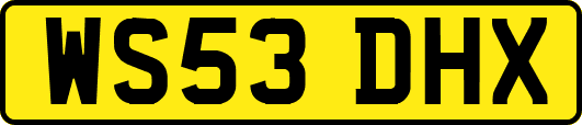 WS53DHX