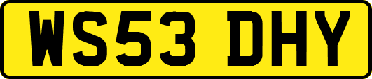 WS53DHY