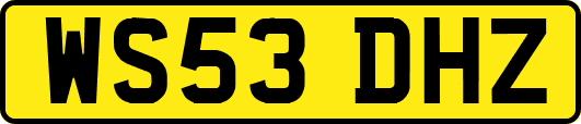 WS53DHZ