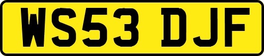 WS53DJF