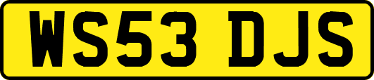 WS53DJS