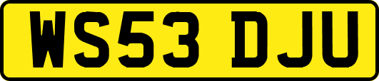 WS53DJU