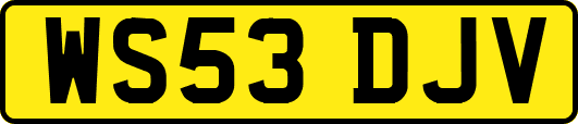 WS53DJV
