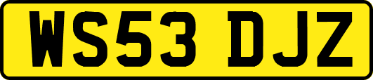 WS53DJZ