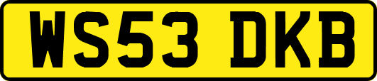 WS53DKB
