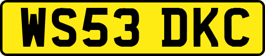 WS53DKC