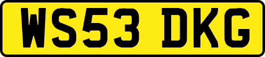 WS53DKG