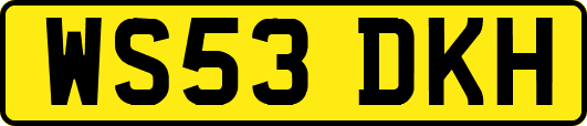 WS53DKH
