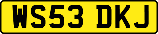 WS53DKJ