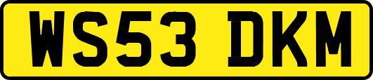 WS53DKM