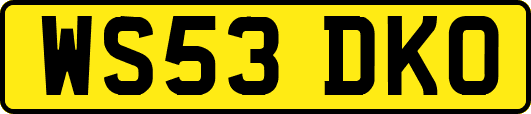 WS53DKO
