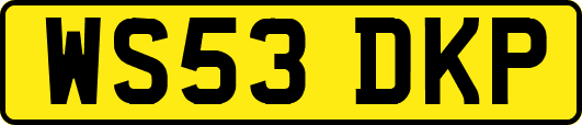 WS53DKP